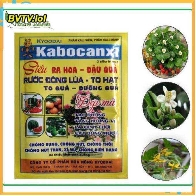 Phân bón Kabocanxi - kích ra hoa đậu quả dùng cho cây dâu tây, bầu bí, dưa chuột, đậu, cây ăn trái, VLTP.lol
