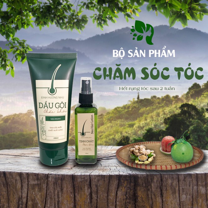 COMBO MỌC TÓC ĐINH HƯƠNG NHU PHỤC HỒI TÓC, KÍCH THÍCH MỌC TÓC 250ML