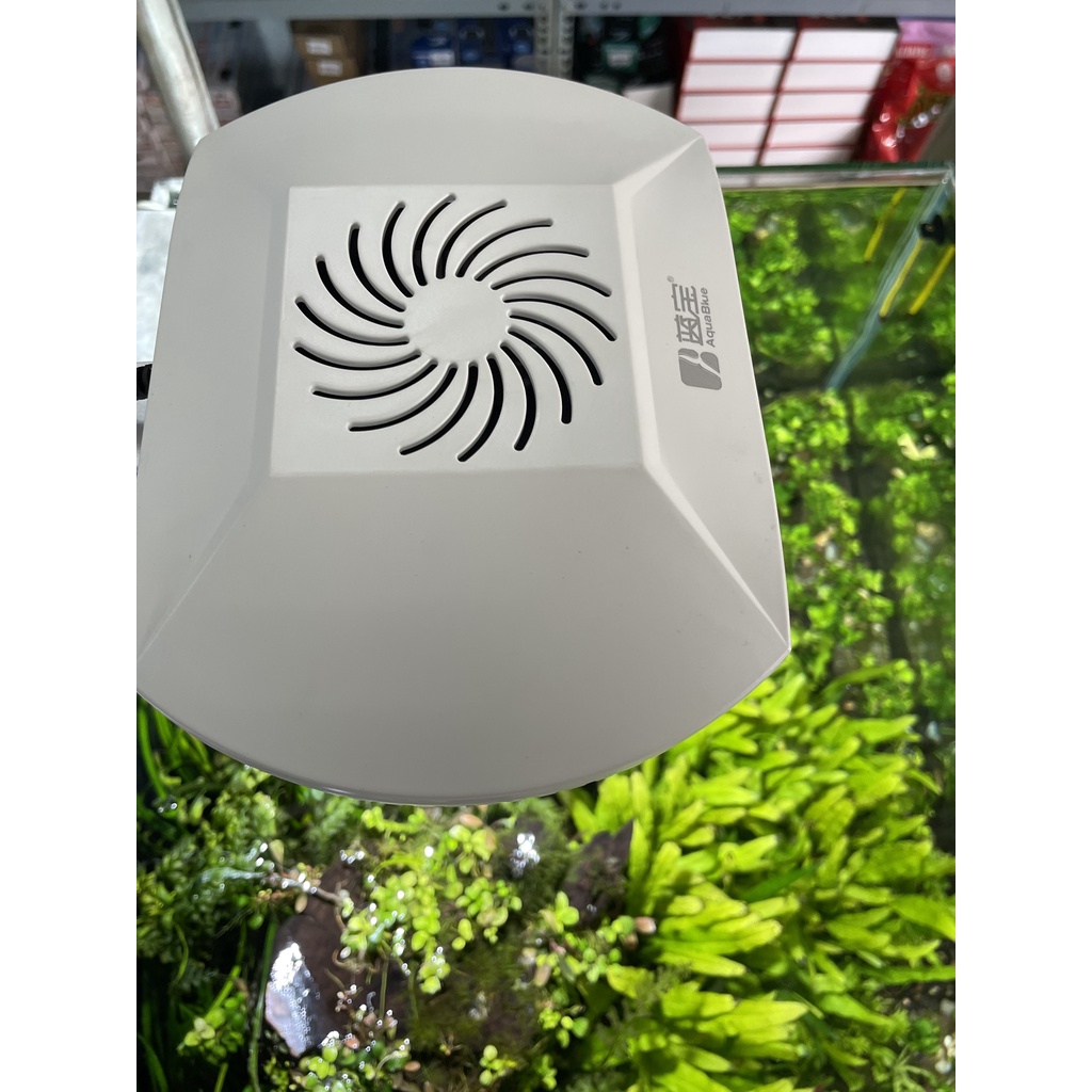 ĐÈN LED WRGB AQUA BLUE S6