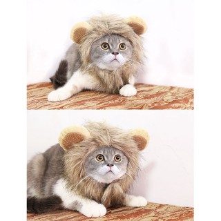 bờm sư tử cho mèo, chó nhỏ