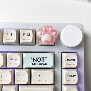 Keycap chân mèo nút lẻ R4 PBT phím cơ