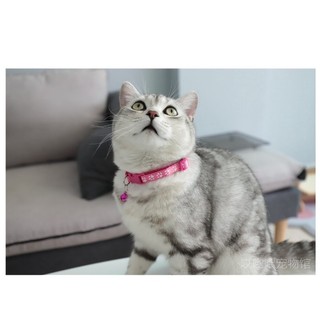 Vòng cổ dễ thương cho thú cưng và cún mèo cưng, vòng cổ cho mèo,chó con