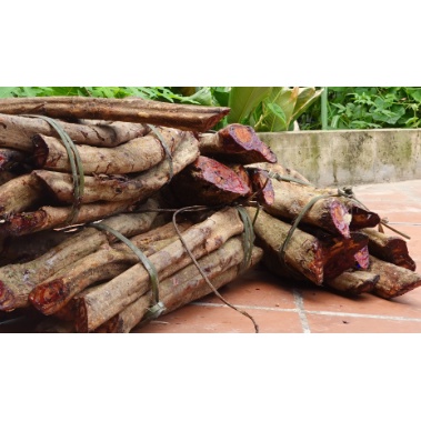 1kg Cây Bổ Máu - Giúp Ăn Ngon Ngủ Ngon Khích Thích Tiêu Hoá