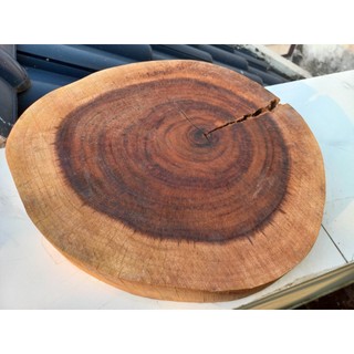 Khoanh gỗ, gỗ me tây / bình linh dùng trang trí decor vintage, đổ resin bàn, chụp ảnh KT 30-47cm (dày 4.5-5cm)