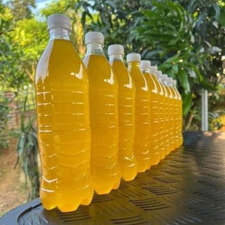 Mật ong bạc hà đồng văn - hà giang, 100% nguyên chất