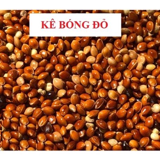  Hạt Kê Đỏ To Thức Ăn Cho Yến Phụng  Vẹt   1kg   