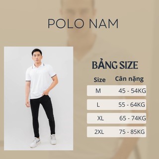 POLO NAM MELADY(mã 02)