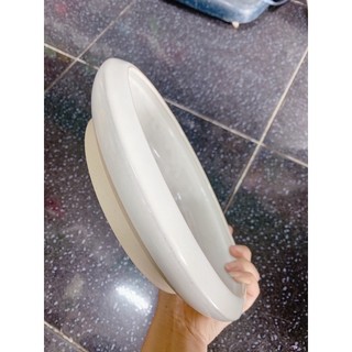 Chậu sứ ang tròn trồng cây