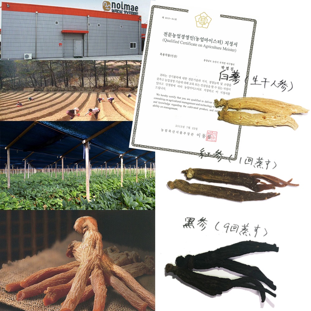 Cao Hồng Sâm Hàn Quốc Nolmae Red Ginseng Concentrate Gold 50g