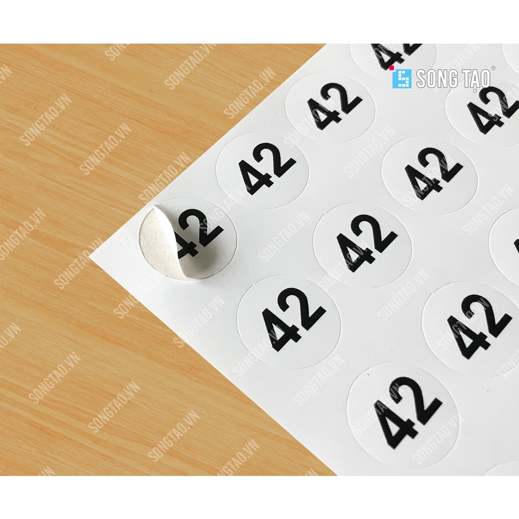 Nhãn Decal Size Giày Dép