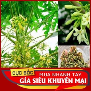 1kg hoa đu đủ đực phơi khô