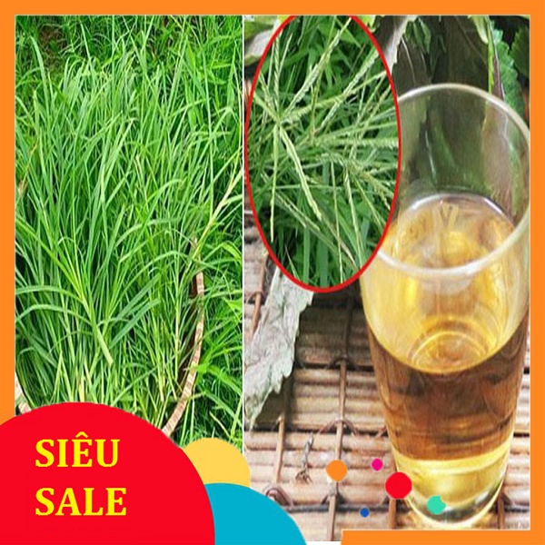 Cỏ Mần Trầu tươi 1kg