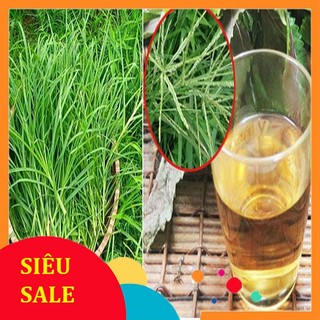 Cỏ Mần Trầu tươi 1kg