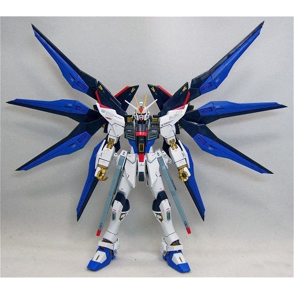 Mô hình đồ chơi Lắp Ráp Gundam - Phiên bản TV 6100 Freedom Strike