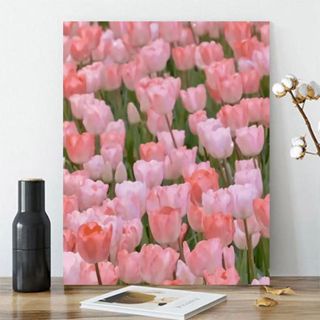 Nong Yang 【30*40cm】-trang tô màu theo số-tranh tô màu theo số hoa hồng-tranh tô màu theo số hoa tulip-Biển hoa/tranh tô màu theo số/tự tô màu vẽ tay/hệ thống chữa bệnh lãng mạn/vẽ trang trí