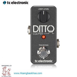 Ditto looper guitar and bass effects tc electronic - bàn đạp hiệu ứng ghita