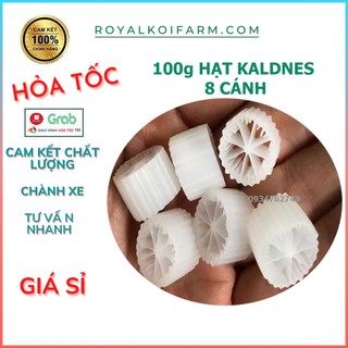 Hạt Lọc Kaldnes Giá Thể Tạo Vi Sinh Cho Hồ Cá 100gr