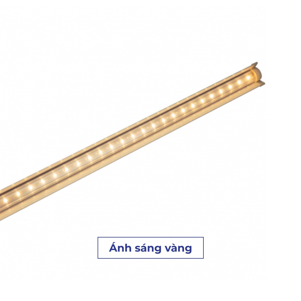 Đèn LED Trồng Rau Rạng Đông