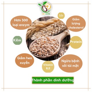 Hạt Lúa Mỳ Đã Tách Vỏ Organic 1kg