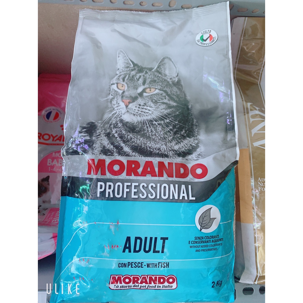 Thức ăn mèo Miglior gatto Adult Morando 2kg