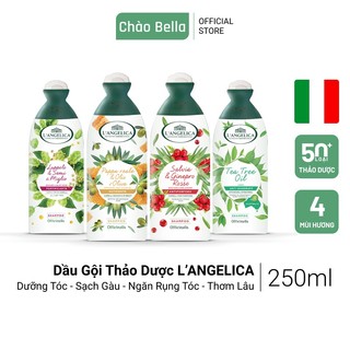 Dầu Gội Thảo Dược Cao Cấp Nhâp Khẩu Ý L'Angelica | Dưỡng Tóc, Sạch Gàu, Ngăn Rụng Tóc, Thơm Lâu Trên Tóc (250ml)