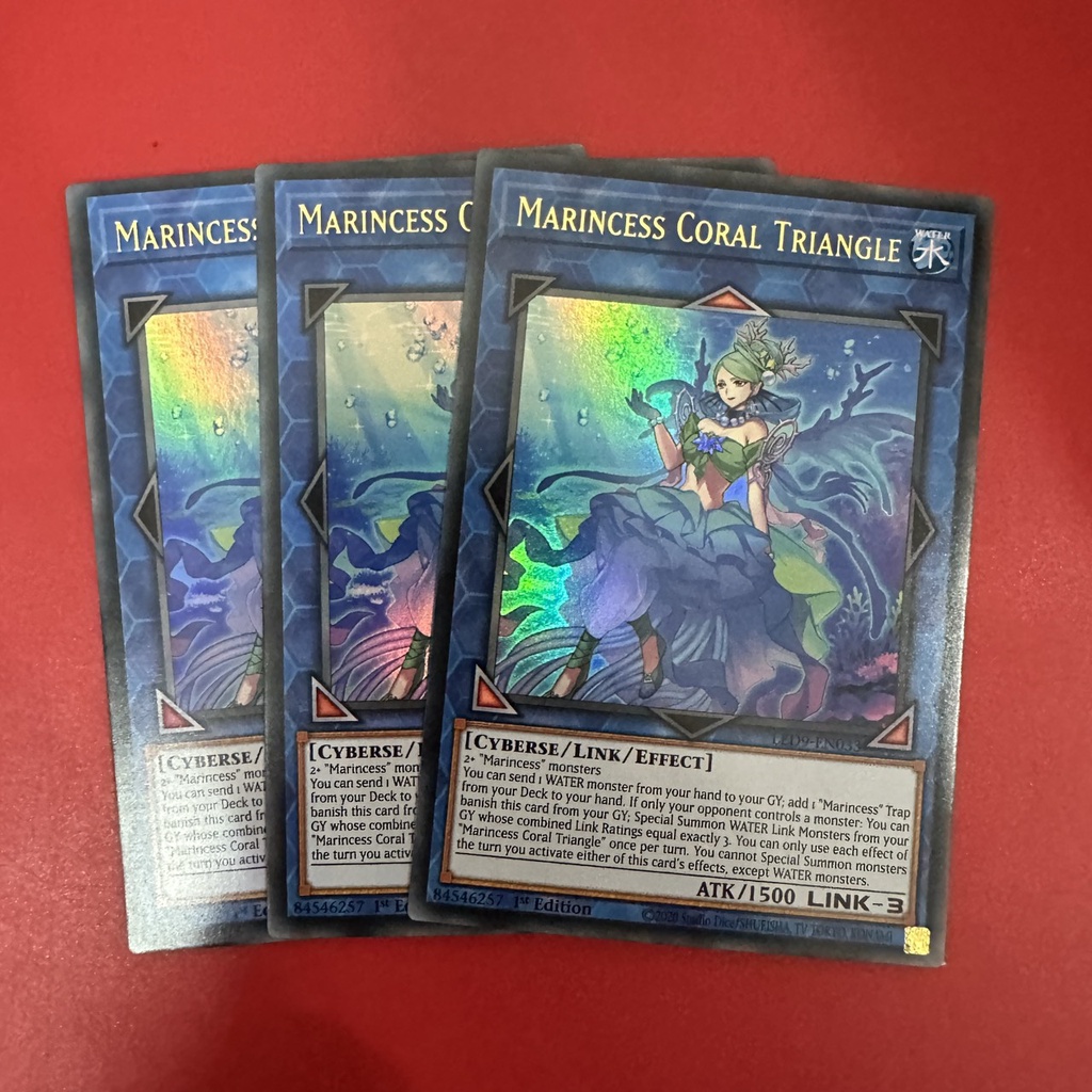 Marincess Coral Triangle