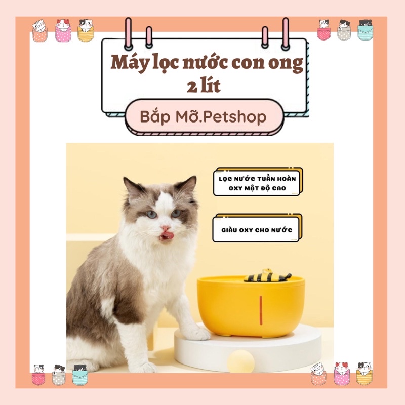 Máy lọc nước con ong 2000ml - Máy lọc nước cho mèo tuần hoàn oxy lọc nước thứ cấp
