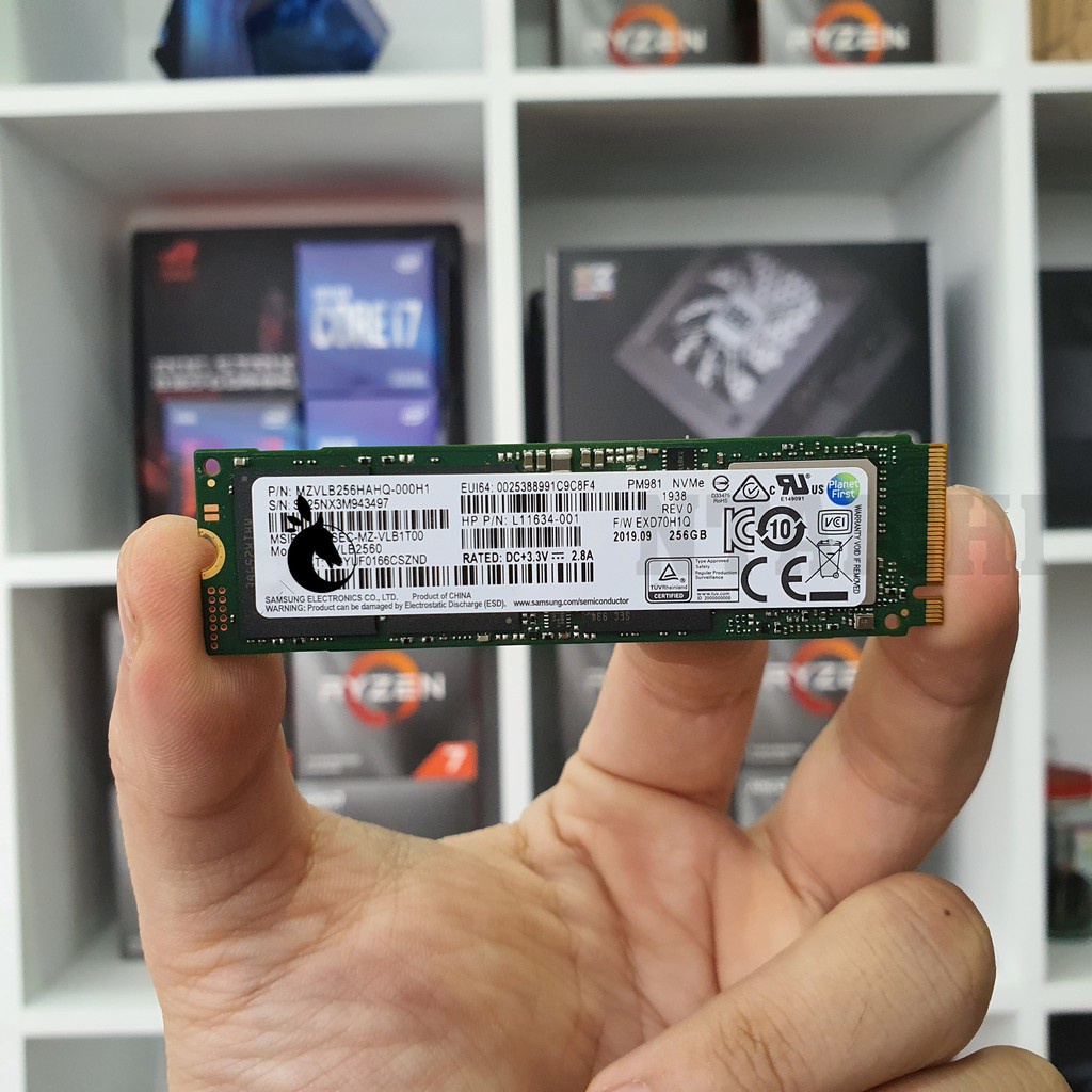 Ổ cứng SSD Samsung NVMe PM981 | PM981a M.2 Pcie Gen3X4 2280 256GB | 512GB | 1TB Dblue_Shop