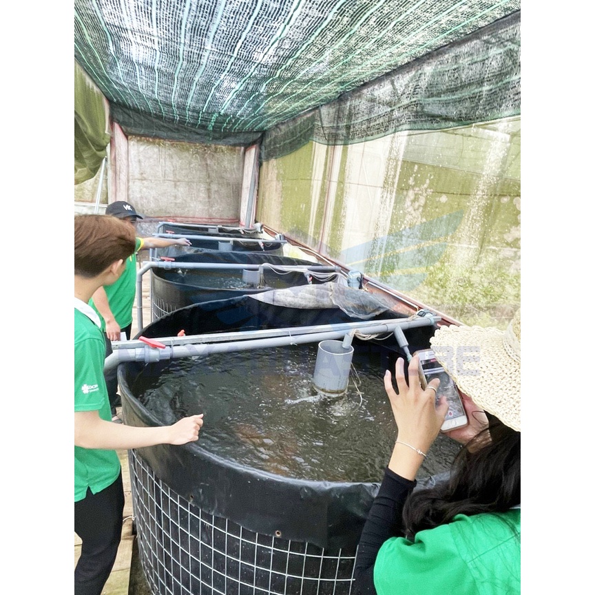 HỒ TRÒN HDPE NUÔI THUỶ SẢN ***GIA CÔNG SIZE THEO YÊU CẦU***