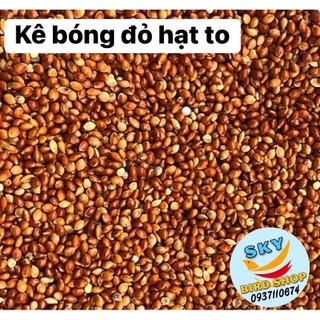 Combo 3kg Kê bóng lớn( theo phân loại)