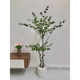 Cây giả , cây thạch nam 1,6m