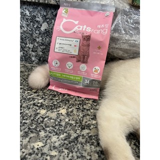 Hạt catsrang kitten, thức ăn hạt dành cho mèo con dưới 1 năm tuổi, mèo mẹ đang mang thai và cho con bú
