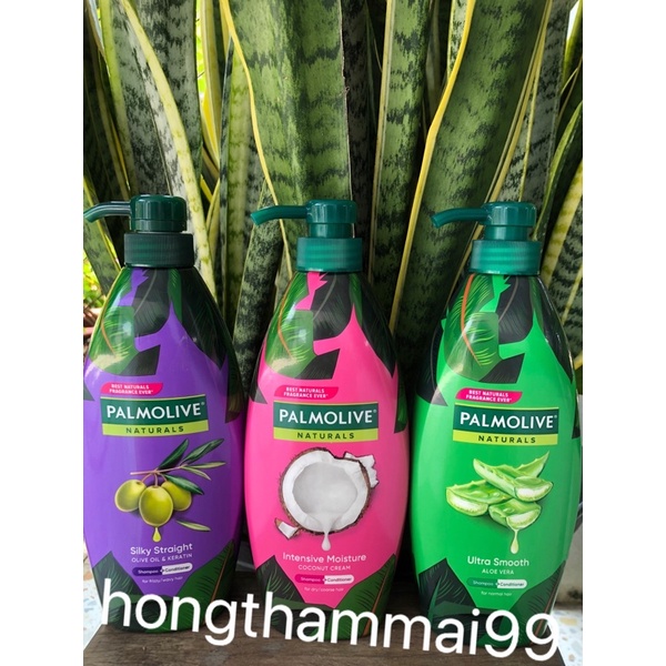 Dầu gội xả 2in1 Palmolive thiên nhiên 600ml