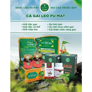 Trà túi lọc cà gai leo giúp bảo vệ mát gan dược liệu quý tại vườn quốc gia Pù Mát 50 gói x 5g
