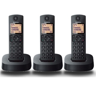 ĐIỆN THOẠI BÀN KHÔNG DÂY PANASONIC KX-TGC313