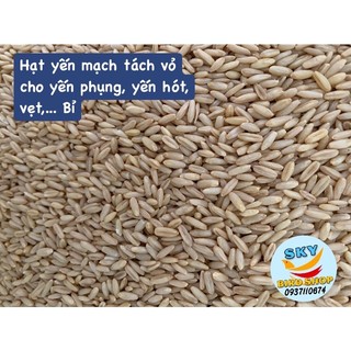 Yến mạch còn vỏ / tách vỏ nguyên hạt cho chim cảnh 500gr