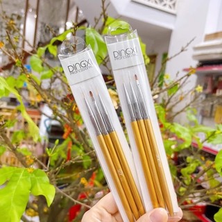 Set 3 cây cọ Dingxi