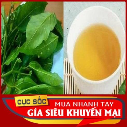 Lá Sung tươi  1kg hỏa tốc 1h nhận hàng