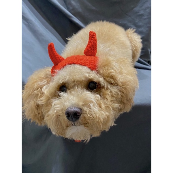 NÓN TRÁI TIM CHO THÚ CƯNG