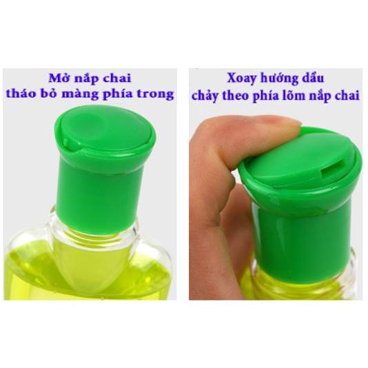 Tinh dầu gừng- tinh dầu ngải cứu dùng cho Massage-Hộp 180ml