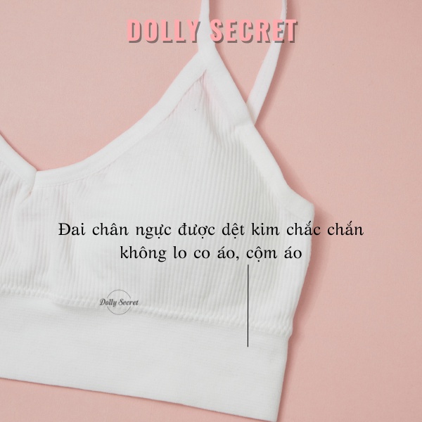 Bộ đồ lót cotton sợi tre DOLLY SECRET gồm 2 chi tiết áo và quần mặc hàng ngày B11 | BigBuy360 - bigbuy360.vn