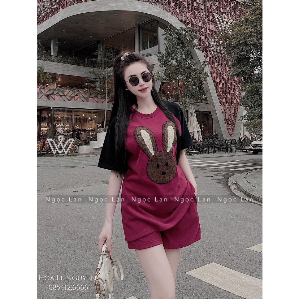 Set Đùi Thể Thao Thêu Thỏ Nổi Cộc Tay Nam Nữ 3158 Chất Cotton Khô Unisex Basic