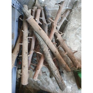 lũa mảnh- san đá miễng (500g) dùng trang trí tiểu cảnh,bonsai,terrarium...