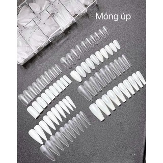 Móng úp hsm hộp đủ size 500 móng