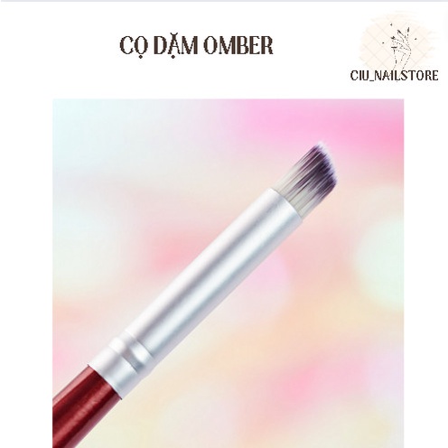 Cọ omber cán gỗ CIU_NAILSTORE
