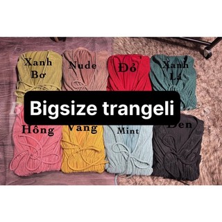 sét bộ Bigsize 55kg-90kg🍒🍒🥰