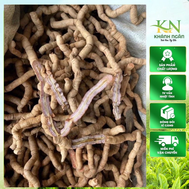 Ba kích tím Quảng Ninh  Hàng A1