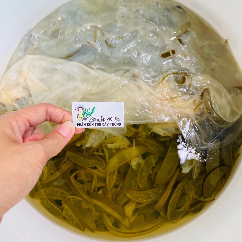 GE Nha Đam - Phân Bón Hữu Cơ - Chai 500ml