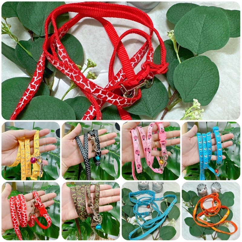 Dây dắt vòng cổ thú cưng