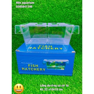 Lồng đẻ cho cá, tép cảnh bằng mika- box tách cá đẻ size to :22x10x10 cm